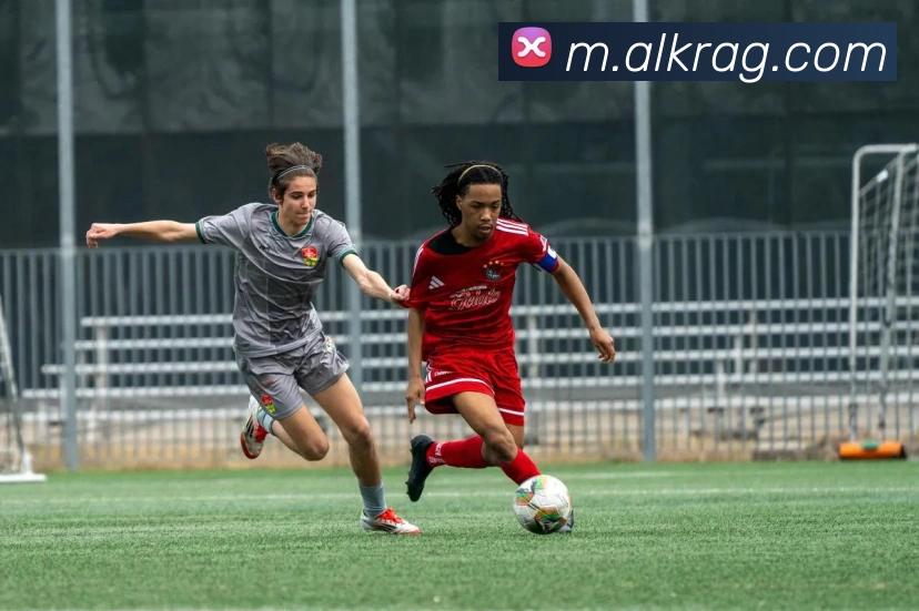 数据防护可视化